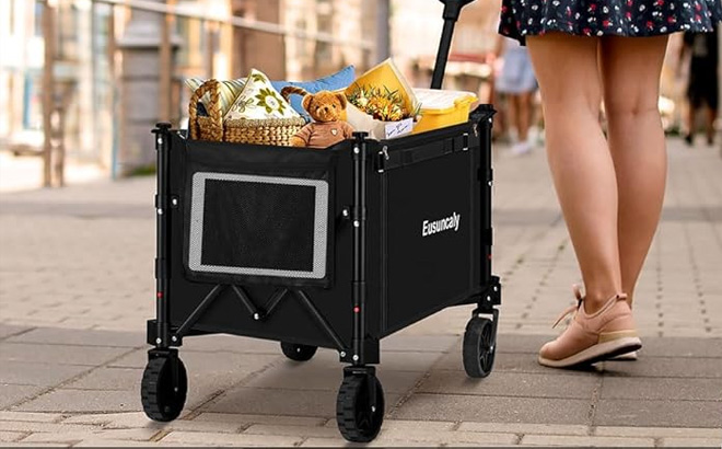 Collapsible Foldable Wagon