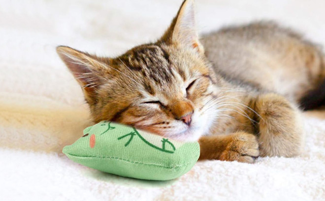 Dorakitten 5 Piece Catnip Toys