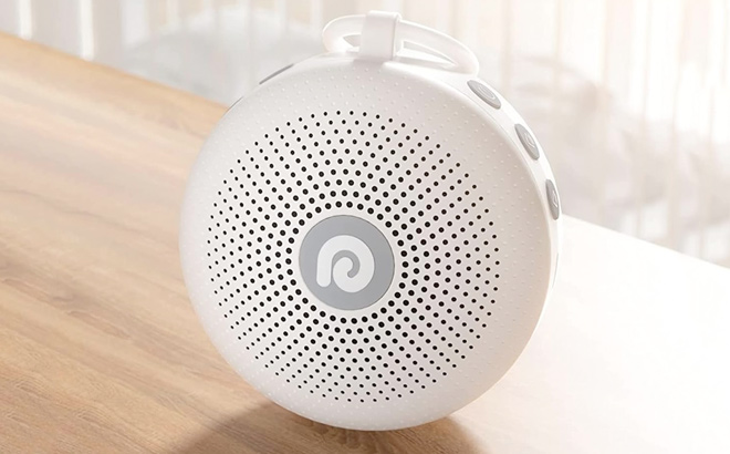 Dreamegg White Noise Machine