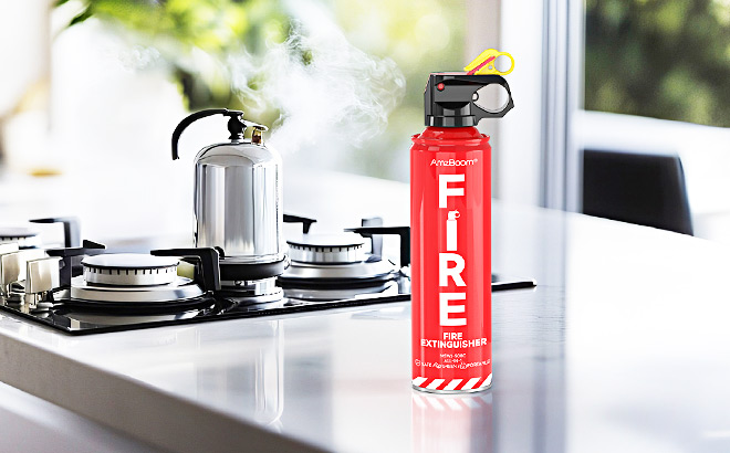 Fire Extinguisher 2 Pack