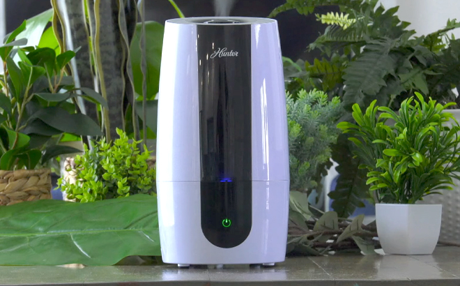 Hunter Aspire 7 Gallon Ultrasonic Humidifier on a Table