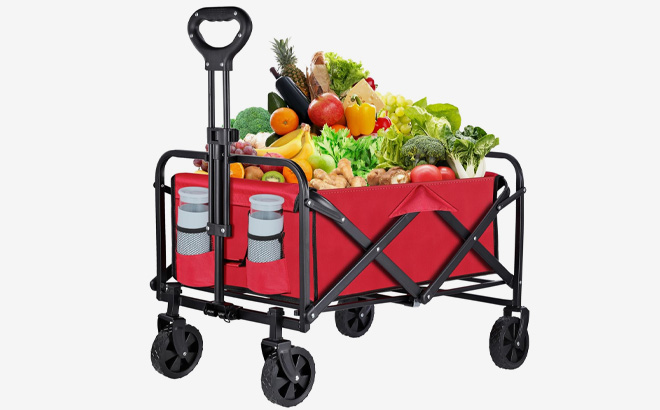 Kandexin Collapsible Foldable Wagon Cart