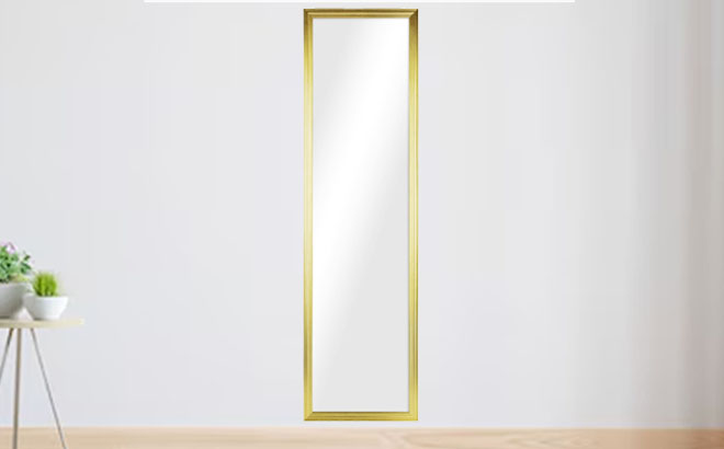 Mainstays 13 x 49 Inch Full Length Mirror in Gold Color