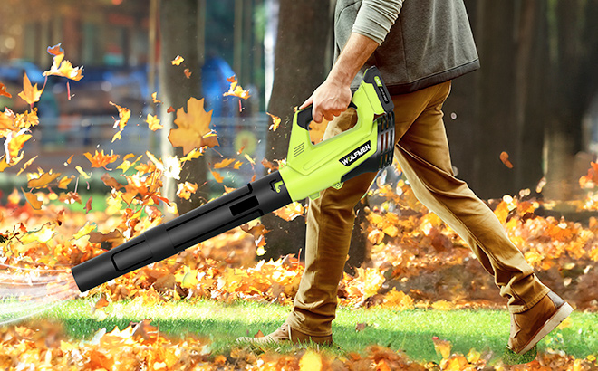 Man using a Lightweight Leaf Blower for Blowing Leaves