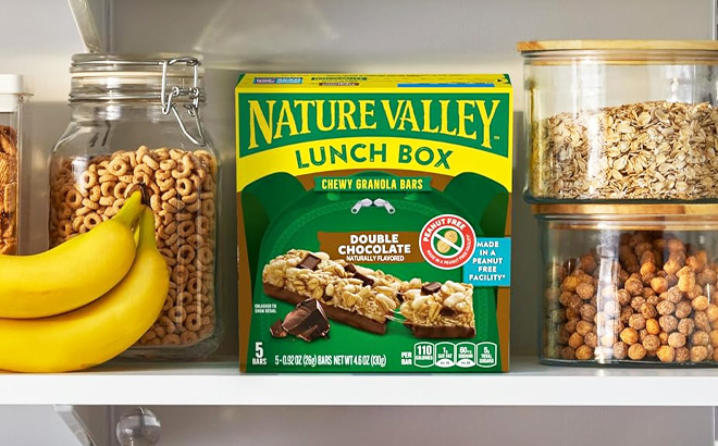 Nature Valley Lunch Box Chewy Granola Bars