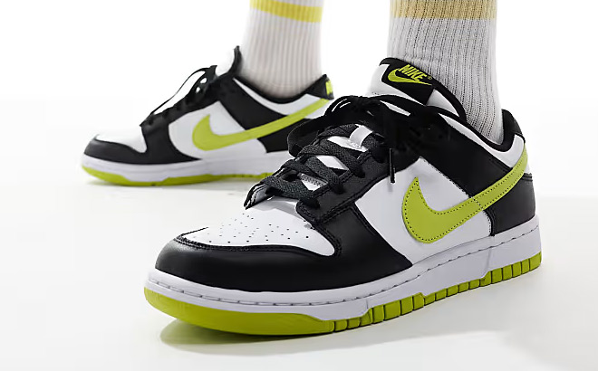 Nike Dunk Low Retro Shoes