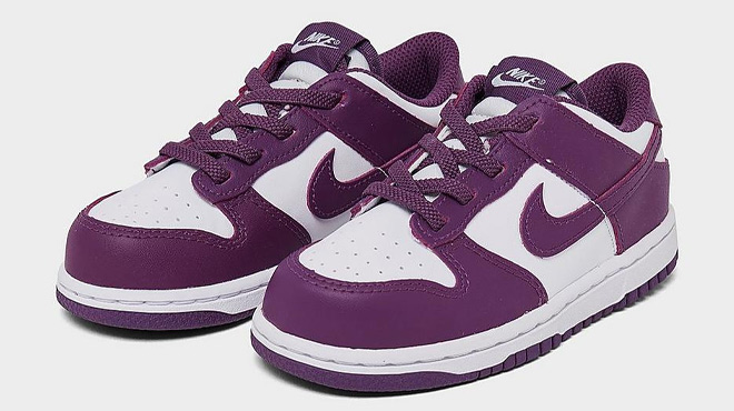 Nike Toddler Girls Dunk Low Shoes