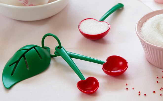 Ototo Measuring Spoons Set in Red Color