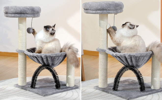 PAWZ Road 28 Inch Cat Tree with Brush Hammock Scratching Post Toy