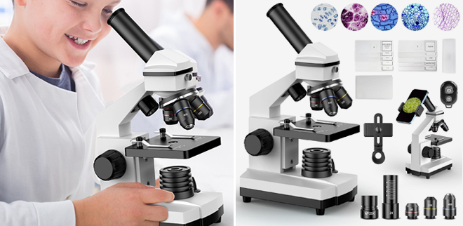 PalliPartners Compound Microscope