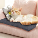 Pet Heating Pad