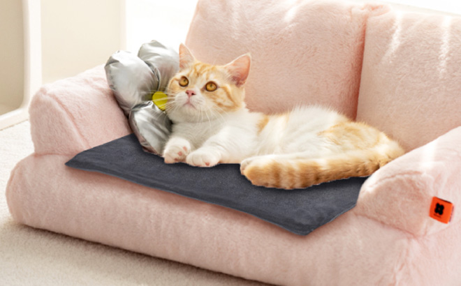 Pet Heating Pad