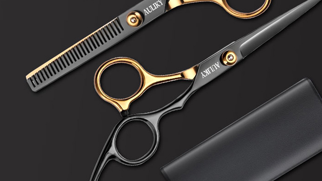 Professional Hair Cut Kit