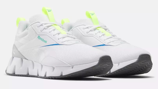 Reebok Zig Dynamica STR Shoes