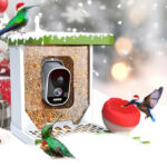 Smart Bird Feeder with Camera with Camera