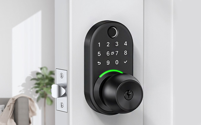 Smart Door Knob Lock