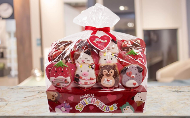 Squishmallows Valentines Day Cookie Bouquet