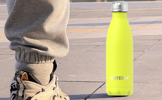 Stainless Steel Water Bottle 17 Ounce