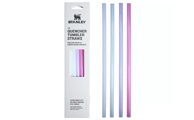 Stanley Quencher Tumbler Straws 4 Pack