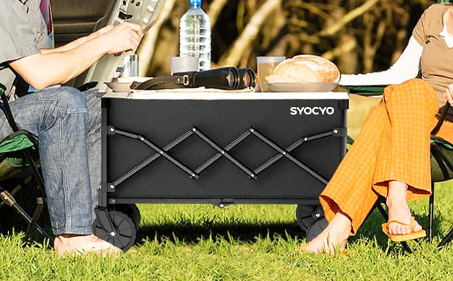 Syocyo Collapsible Foldable Wagon Cart