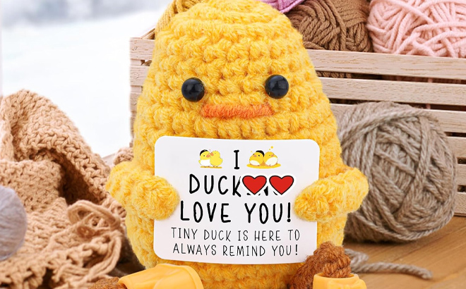 Valentines Gift Knitted Cute Duck