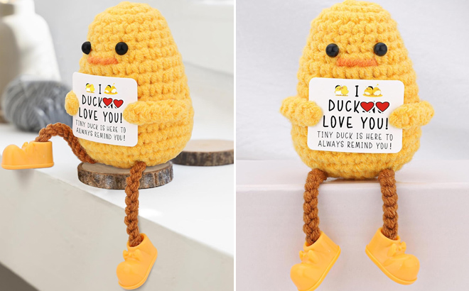 Valentines Gift Knitted Cute Ducks