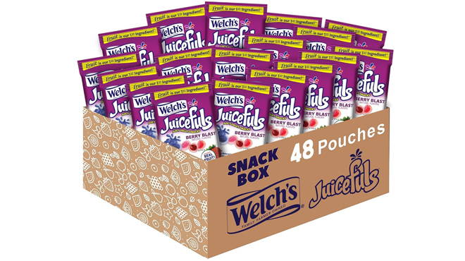 Welchs Juicefuls Berry Blast Fruit Snacks 48 Pack