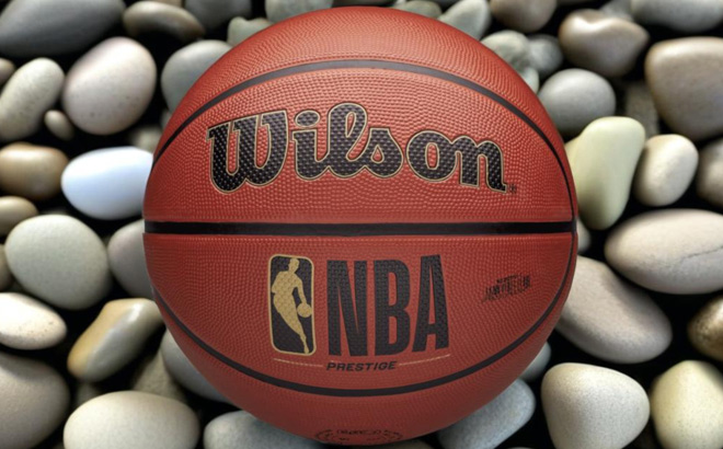 Wilson NBA Prestige Basketball