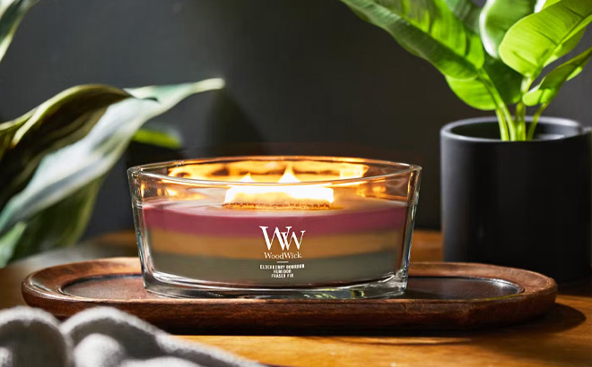 Woodwick Ellipse Scented Candle