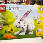 a Person Holding LEGO Creator Set