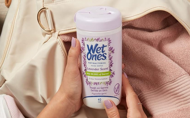 a Person Holding Wet Ones 40 Count Antibacterial Hand Wipes