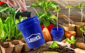 Lowes Mini Bucket 0 5 Quart Bpa free Polypropylene Mini Bucket