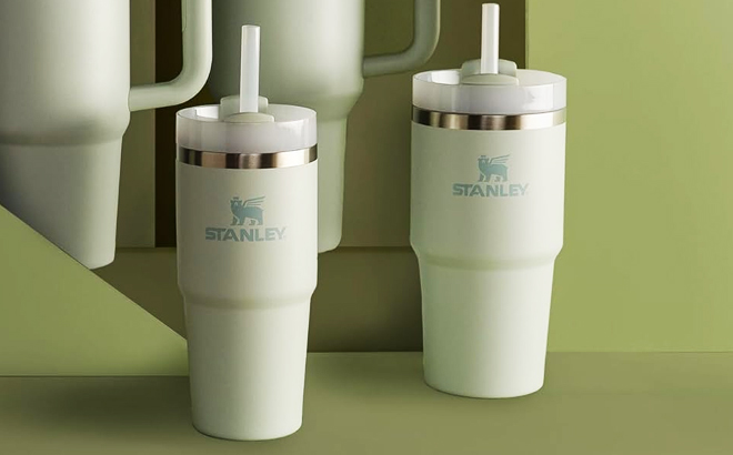 Stanley The Quencher H2 O Flowstate Tumblers