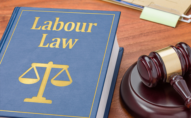 Labor Law Book