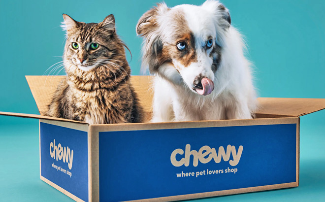 A Cat and a Dog in a Chewy Box