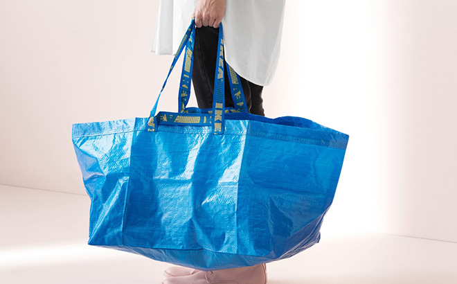 A Person Holding an Ikea Shopping Bag